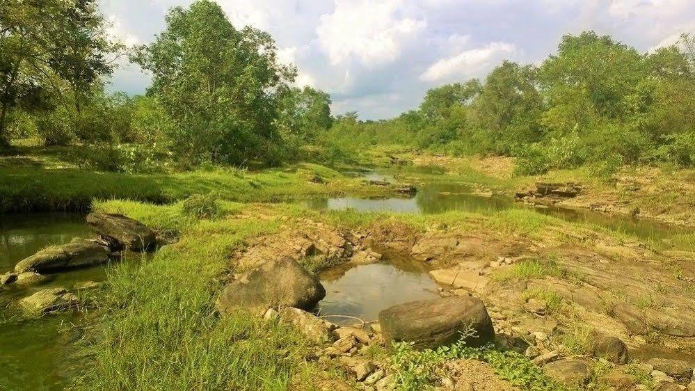 Kula Kula Luxury Camping Resort Udawalawe Exterior photo