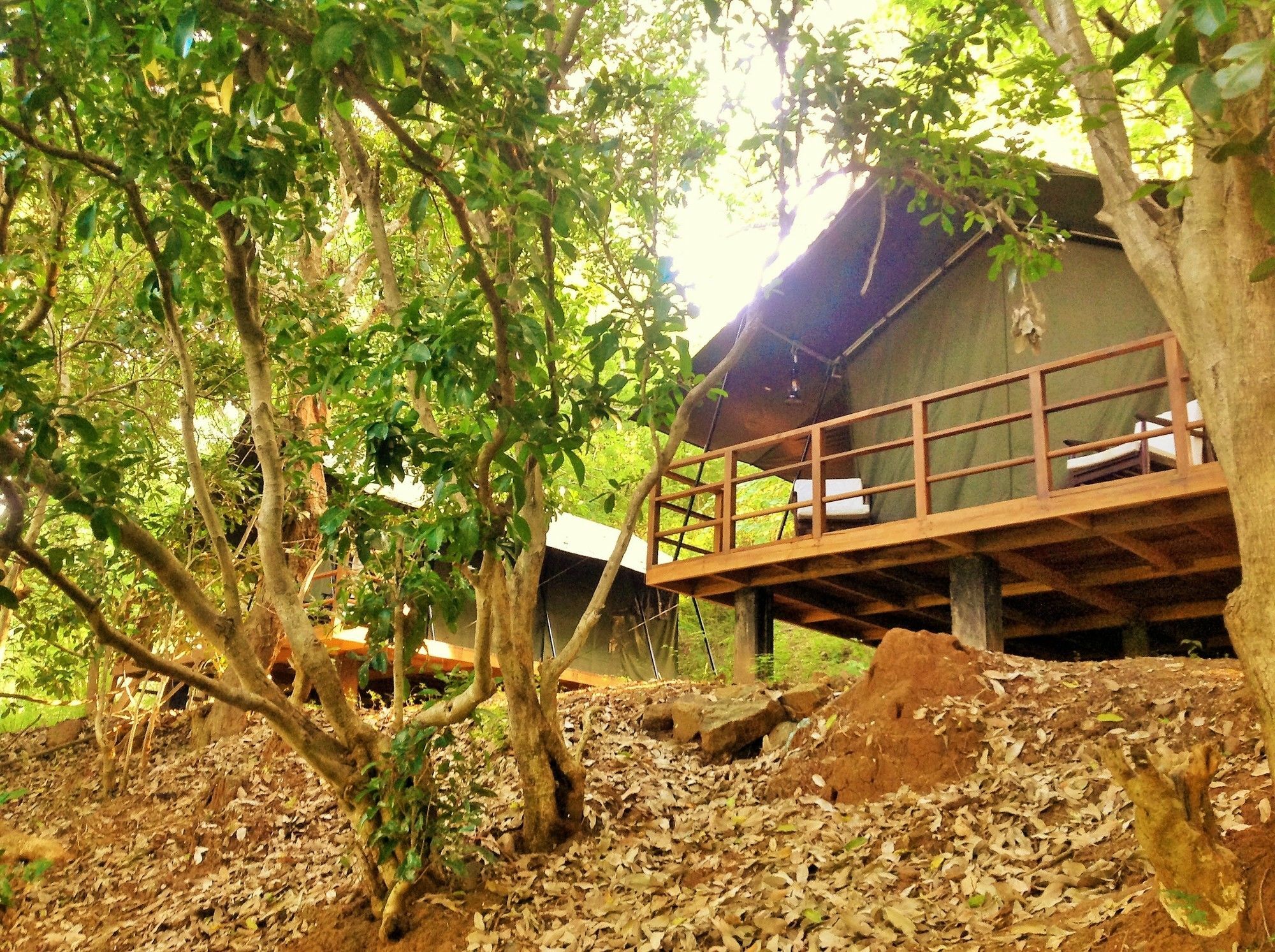 Kula Kula Luxury Camping Resort Udawalawe Exterior photo
